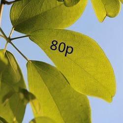 80p