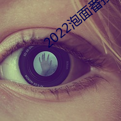 2022泡面番接档