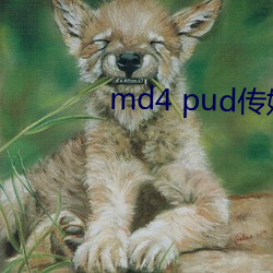 md4 pud傳媒官網