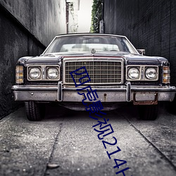 四(sì)虎影(yǐng)视(shì)214HU永久免(mi��n)费(f��i)观看