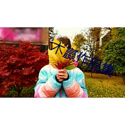 木嬴作品集