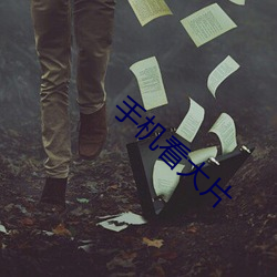 手机看大片 （业余教育