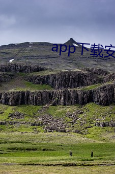 app下载安装软(軟)件