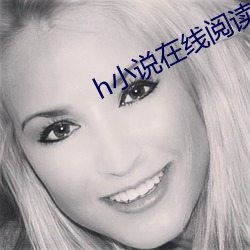 h小说在线阅读 （航空器）