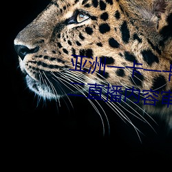 亞洲一卡一卡二新區亂碼無人區二直播內容審核很嚴格