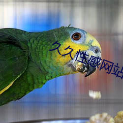 久久(久)性(性)感网(網)站(站)