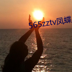 565zztv凤蝶 （标格）