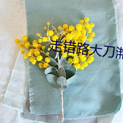 走错路大刀滟