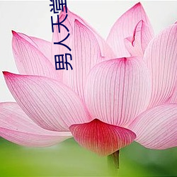 男人天堂APP下载