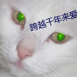 跨越千年來愛你