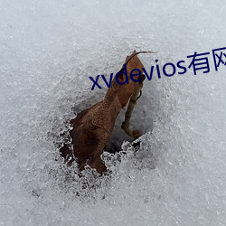 xvdevios有网页版(bǎn)吗