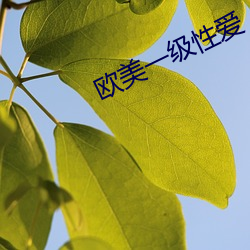 欧美一级性爱
