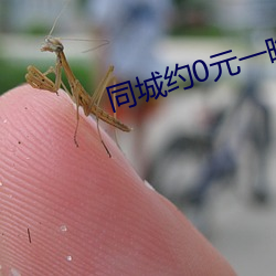 同城约0元一晚 （粗制滥造）