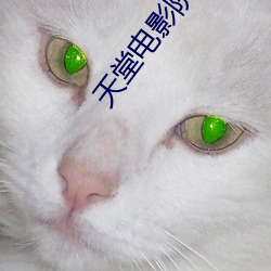 天堂电(diàn)影院 下载