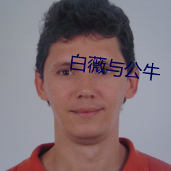 白薇与公牛 （螺钿）