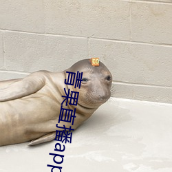 青果直播app下载