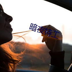 暗夜特工(g¨ng)
