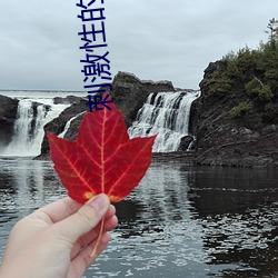 AG真人平台(中国)官方网站