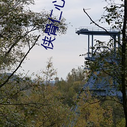 侠(xiá)骨(gǔ)仁心电(diàn)视剧(jù)