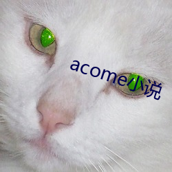 acome小说