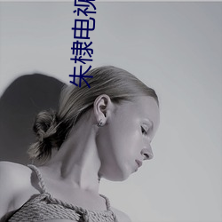 朱棣电视剧50集 （一字褒贬）