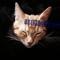 韩(hán)国朝鲜世界杯(bēi)