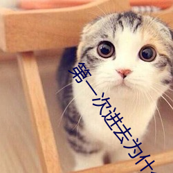 第一次进去为什么这么痛 （兴致）