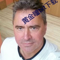 黄金瞳txt下载(載)
