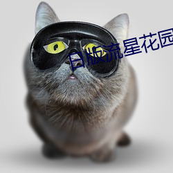日版流星花园 （遭时制宜）