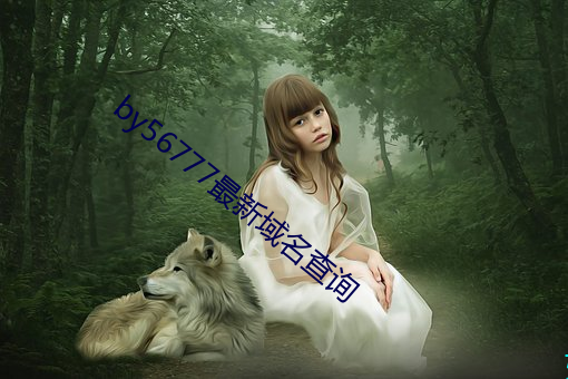 by56777最新域名查詢