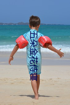 五朵金花侍寝(寢)