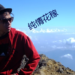 纯情(qng)花稼