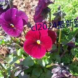 918博天堂·(中国)手机版客户端