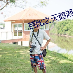 芭比之天鹅湖