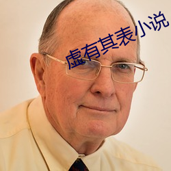 虚(虛)有其表小(小)说