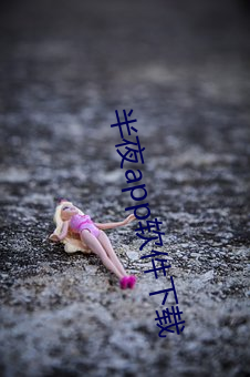半夜(夜)app软(軟)件(件)下载