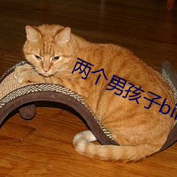 两个男孩(hái)子bilibili视