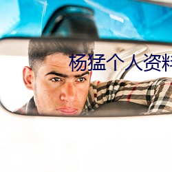 杨猛个人(人)资料简介