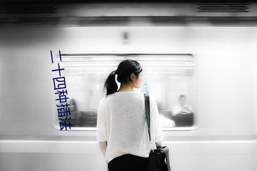 二十四種插法