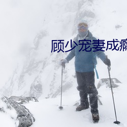 顾少宠妻成瘾