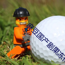 麻豆国产剧果冻传 （单枪匹马）
