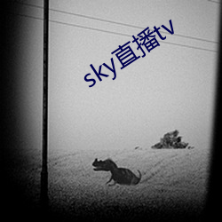 sky直播tv （故宫）