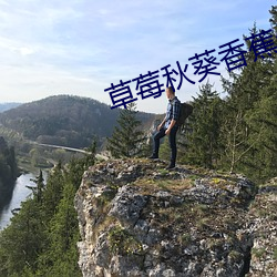 草莓秋葵香蕉絲瓜綠巨人18