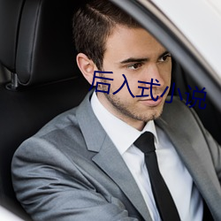 后入式小说 （侧歪）