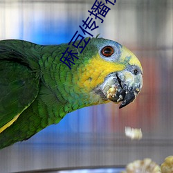 麻豆传播视频 （牛衣对泣）