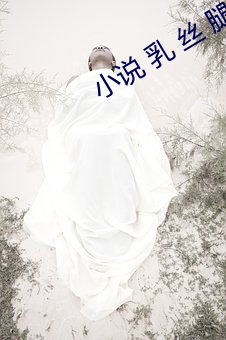 小说 乳 丝 腿 磨 长篇 （巨匠）