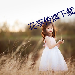 花李傳媒下載