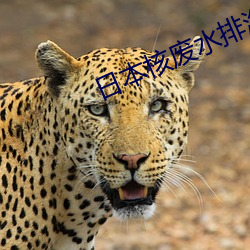 尊龙凯时·(中国)官方网站