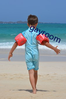 gayroom