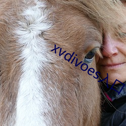 xvdivoes入口